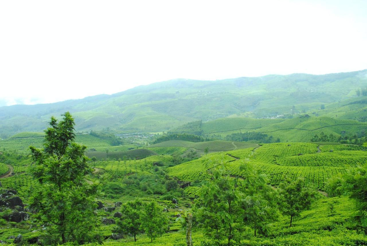 Mistica Munnar Apartment Anachal Exterior photo